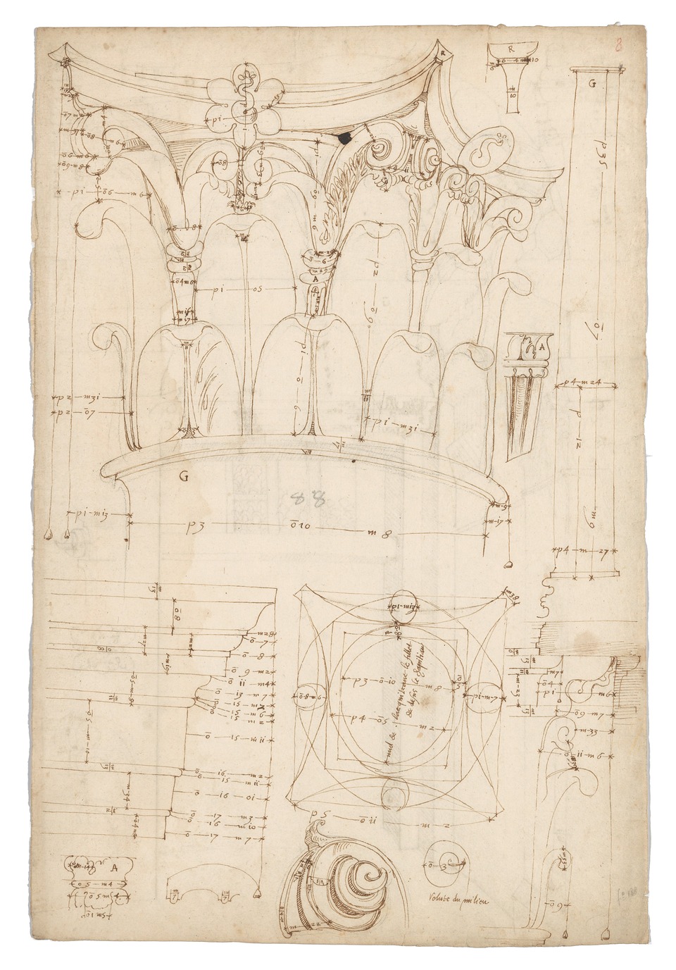 Ink drawing of a Corinthian capital with measurements